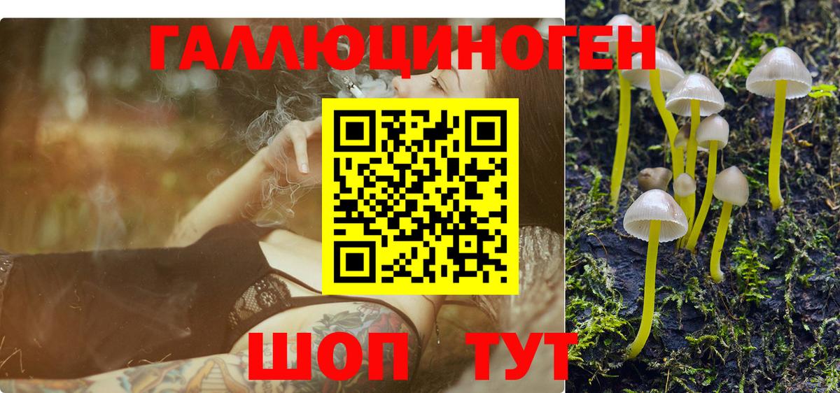 Татарск  Галлюциногенные грибы Cubensis  Вход с VPN  наркота  Галлюциногенные грибы прущие грибы 